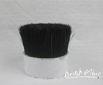 Black Boiled Bristle